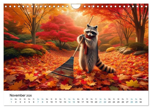 Produktbild: Lustige Waschb&auml;ren (Wandkalender 2026 DIN A4 quer), CALVENDO Monatskalender