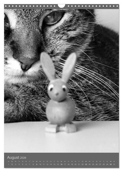 Produktbild: Sonja Heller Katzen in SW-Portraits (Wandkalender 2026 DIN A3 hoch), CALVENDO Monatskalender