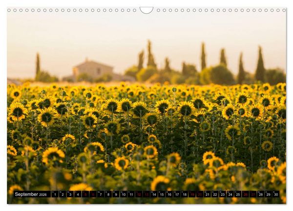 Produktbild: Provence im Rausch der Farben (Wandkalender 2026 DIN A3 quer), CALVENDO Monatskalender