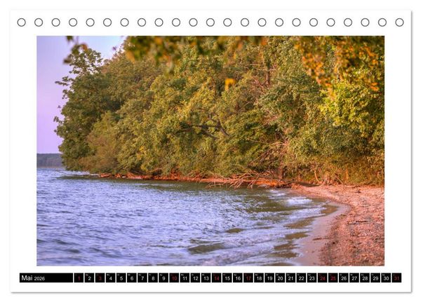 Produktbild: Die M&uuml;ritz - Naturparadies der Mecklenburgischen Seenplatte (Tischkalender 2026 DIN A5 quer), CALVENDO Monatskalender