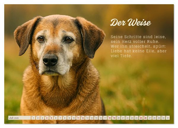 Produktbild: Hunde mit Charakter (Wandkalender 2026 DIN A4 quer), CALVENDO Monatskalender