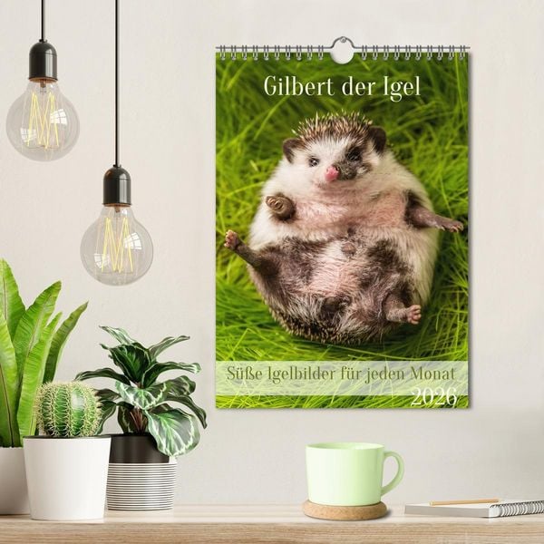Produktbild: Gilbert der Igel (Wandkalender 2026 DIN A4 hoch), CALVENDO Monatskalender