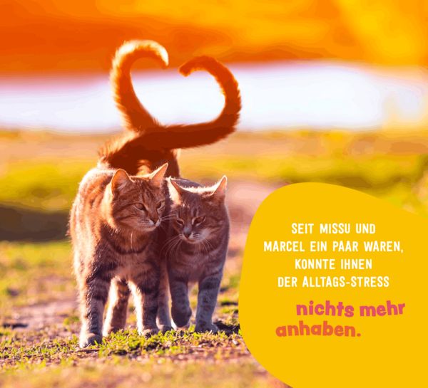 Produktbild: Tierisch gechillt!