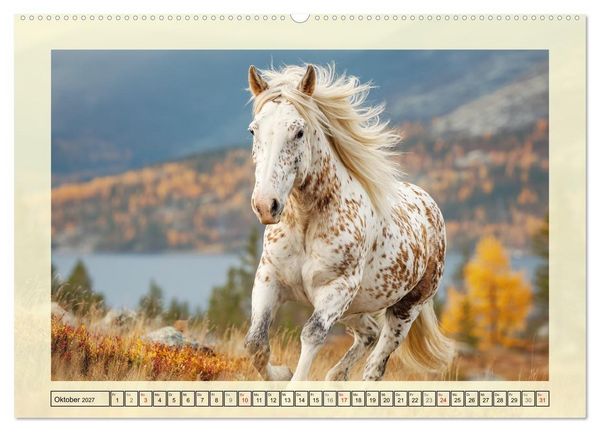 Produktbild: Knabstrupper Poesie. Gescheckte Eleganz im Farmsommer (Wandkalender 2027 DIN A2 quer), CALVENDO Monatskalender