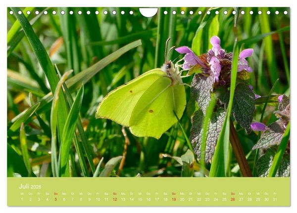 Produktbild: Fauna trifft Flora - Tierischer Besuch im Pflanzenreich (Wandkalender 2026 DIN A4 quer), CALVENDO Monatskalender