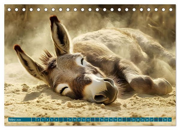 Produktbild: Plitsch, Platsch, tierisch nass (Tischkalender 2026 DIN A5 quer), CALVENDO Monatskalender