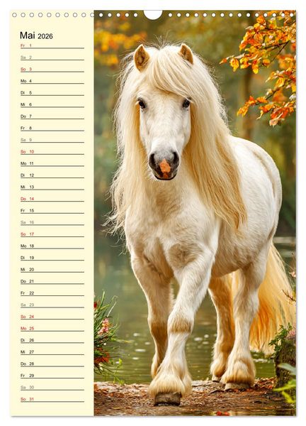 Produktbild: Zauber der Ponys. Kleine Pferde in der Natur (Wandkalender 2026 DIN A3 hoch), CALVENDO Monatskalender
