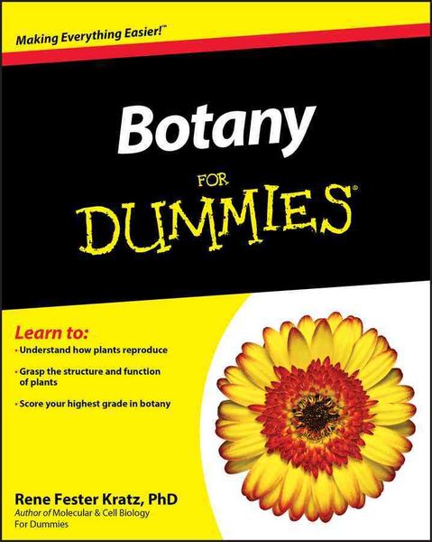 Produktbild: Botany For Dummies