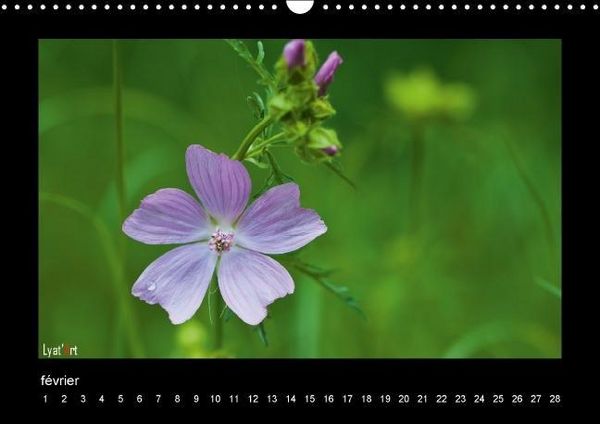 Produktbild: Liatard, A: Fleurs et couleurs (Calendrier mural Calendrier