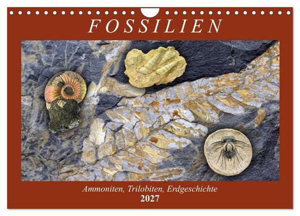 Produktbild: Fossilien - Ammoniten, Trilobiten, Erdgeschichte (Wandkalender 2027 DIN A4 quer), CALVENDO Monatskalender