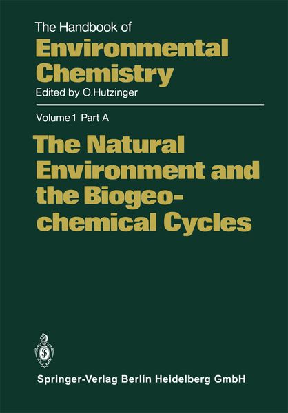 Produktbild: The Natural Environment and the Biogeochemical Cycles