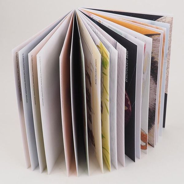 Produktbild: Da sein - Was f&uuml;hlst du? Postkarten-Set