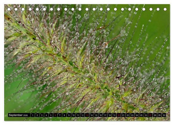 Produktbild: Wassertropfen - Diamanten des Lebens (Tischkalender 2026 DIN A5 quer), CALVENDO Monatskalender