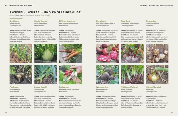 Produktbild: 365 Tage Hochbeet