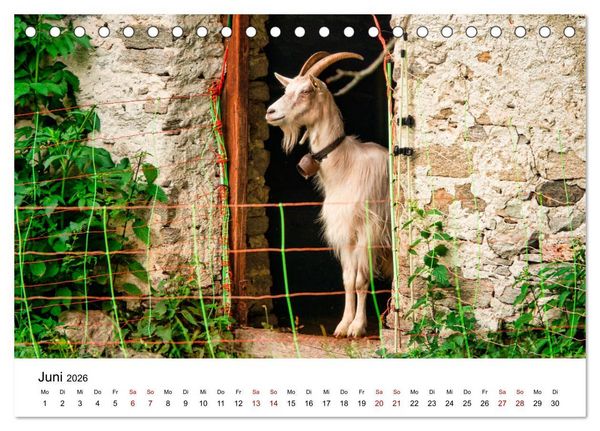 Produktbild: Bergell - Bregaglia Impressionen (Tischkalender 2026 DIN A5 quer), CALVENDO Monatskalender