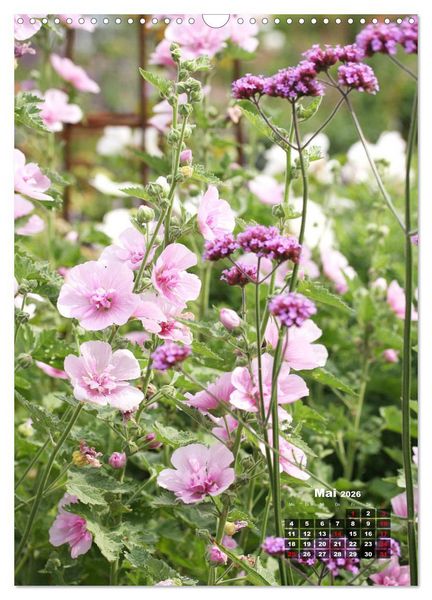 Produktbild: Malvenbl&uuml;te (Wandkalender 2026 DIN A3 hoch), CALVENDO Monatskalender