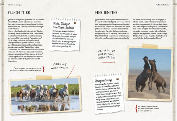 Verborgene Welt der Pferde