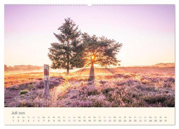 Mehlinger Heide (Wandkalender 2025 DIN A2 quer), CALVENDO Monatskalender