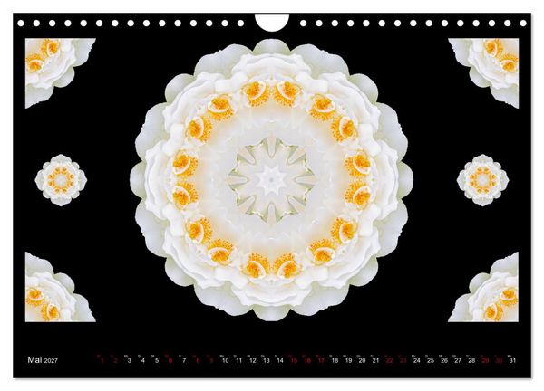 Produktbild: ROSEN MANDALAS (Wandkalender 2027 DIN A4 quer), CALVENDO Monatskalender