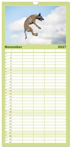 Produktbild: Familienplaner 2027 - Belgischer Sch&auml;ferhund - Der Malinois in Action mit 5 Spalten (Wandkalender, 21 x 45 cm) CALVENDO