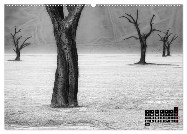Produktbild: Namibia schwarzwei&szlig; (hochwertiger Premium Wandkalender 2026 DIN A2 quer), Kunstdruck in Hochglanz