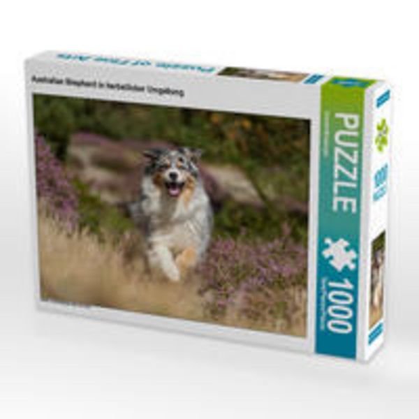 CALVENDO Puzzle Australian Shepherd in herbstlicher Umgebung | 1000 Teile Lege-Größe 64x48cm Foto-Puzzle für glückliche Stunden