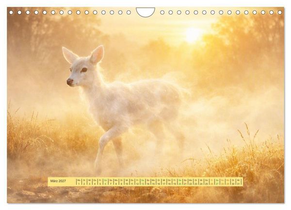 Produktbild: UNsichtbare Tiere - Eine poetische Sammlung aus Licht, Nebel und Fantasie (Wandkalender 2027 DIN A4 quer), CALVENDO Monatskalender