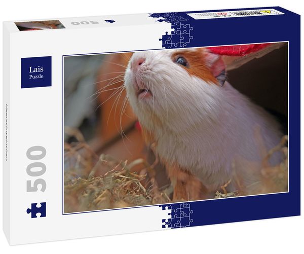 Produktbild: Lais Puzzle Meerschweinchen 500 Teile