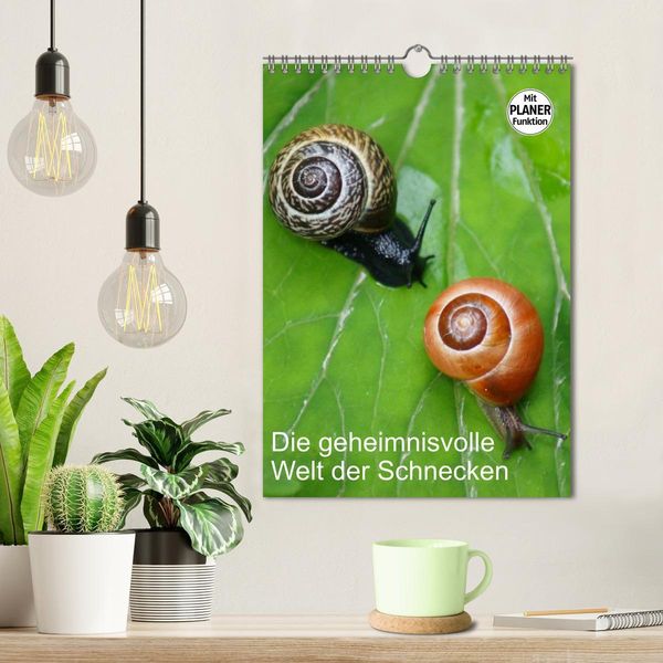 Produktbild: Die geheimnisvolle Welt der Schnecken (Wandkalender 2026 DIN A4 hoch), CALVENDO Monatskalender