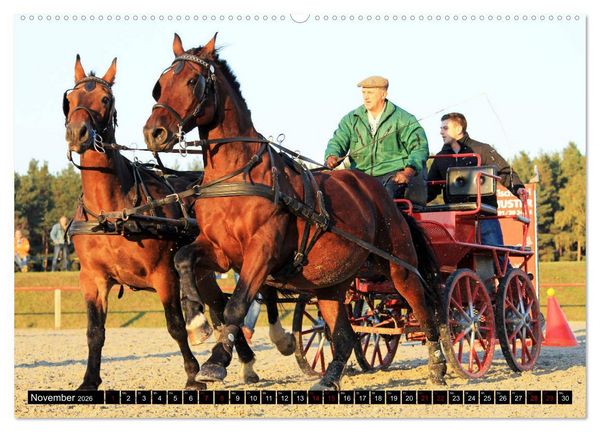 Produktbild: Schwere Warmbl&uuml;ter 2026 (hochwertiger Premium Wandkalender 2026 DIN A2 quer), Kunstdruck in Hochglanz