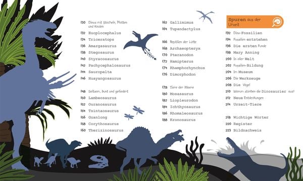 Wissen für Vorschulkids. Was weißt du über Dinos?