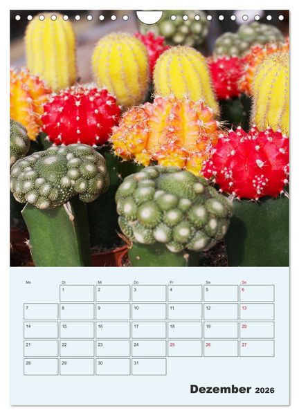 Produktbild: Wehrhafte Sukkulenten (Wandkalender 2026 DIN A4 hoch), CALVENDO Monatskalender