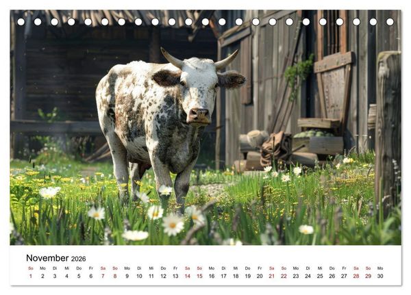 Produktbild: Weidengl&uuml;ck: Ein Jahr unter K&uuml;hen (Tischkalender 2026 DIN A5 quer), CALVENDO Monatskalender