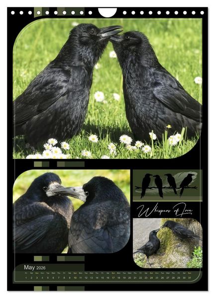 Produktbild: Crows - Through the Seasons (Wall Calendar 2026 DIN A4 portrait), CALVENDO 12 Month Wall Calendar