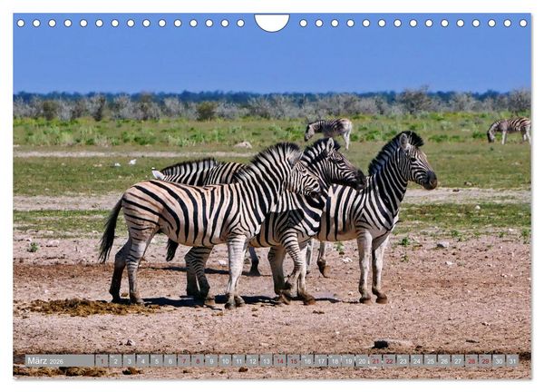 Produktbild: Namibia - Von Nord nach S&uuml;d (Wandkalender 2026 DIN A4 quer), CALVENDO Monatskalender