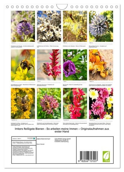 Produktbild: Imkers flei&szlig;igste Bienen - So arbeiten meine Immen &ndash; Originalaufnahmen aus erster Hand (Wandkalender 2026 DIN A4 hoch), CALVENDO Monatskalender