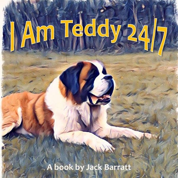 Produktbild: I Am Teddy 24/7