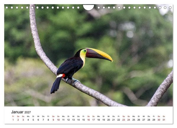 Produktbild: Costa Rica - das Naturparadies (Wandkalender 2027 DIN A4 quer), CALVENDO Monatskalender