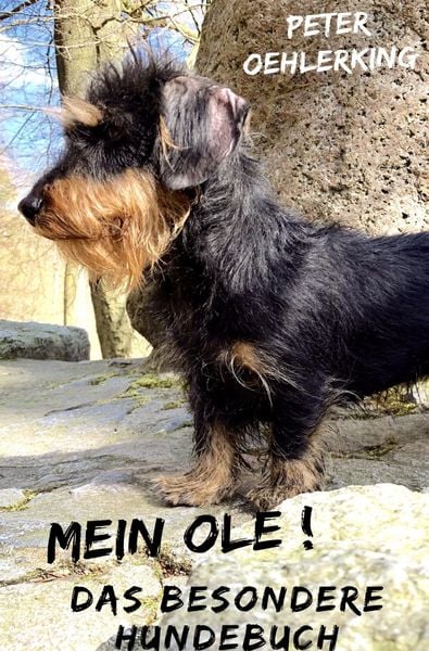 Mein Ole
