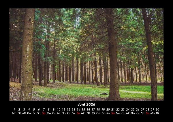 Produktbild: Waldzauber 2026 Fotokalender DIN A3