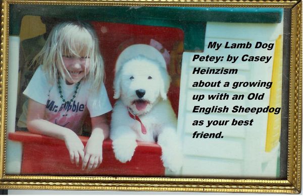 Produktbild: My Lamb Dog Petey