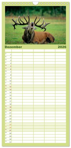 Produktbild: Familienplaner 2026 - Tiere des Waldes mit 5 Spalten (Wandkalender, 21 x 45 cm) CALVENDO