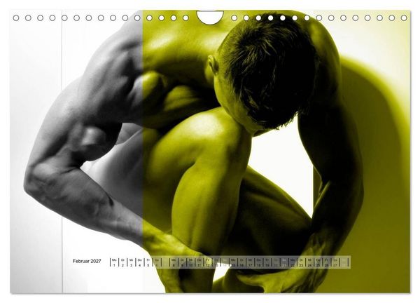Produktbild: Naked men behind the colors &ndash; &Auml;sthetische Aktfotografien (Wandkalender 2027 DIN A4 quer), CALVENDO Monatskalender