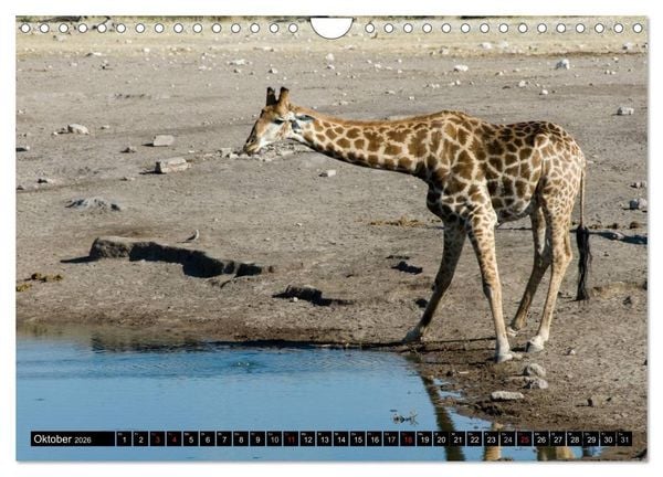 Produktbild: Faszination Namibia (Wandkalender 2026 DIN A4 quer), CALVENDO Monatskalender