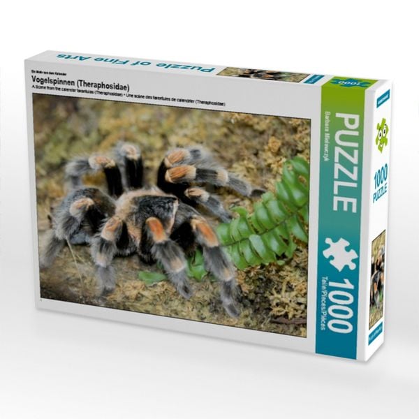 Produktbild: CALVENDO Puzzle Ein Motiv aus dem Kalender Vogelspinnen (Theraphosidae) | 1000 Teile Lege-Gr&ouml;&szlig;e 64x48cm Foto-Puzzle f&uuml;r gl&uuml;ckliche Stunden