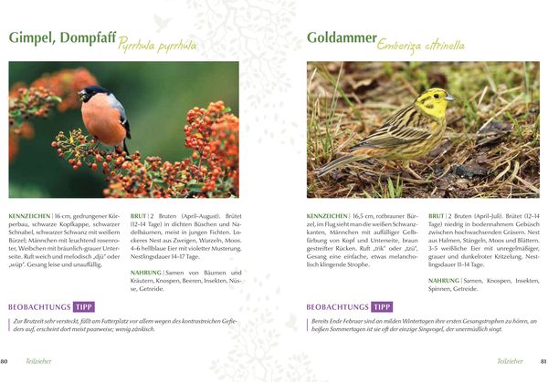 Produktbild: Mein vogelfreundlicher Garten