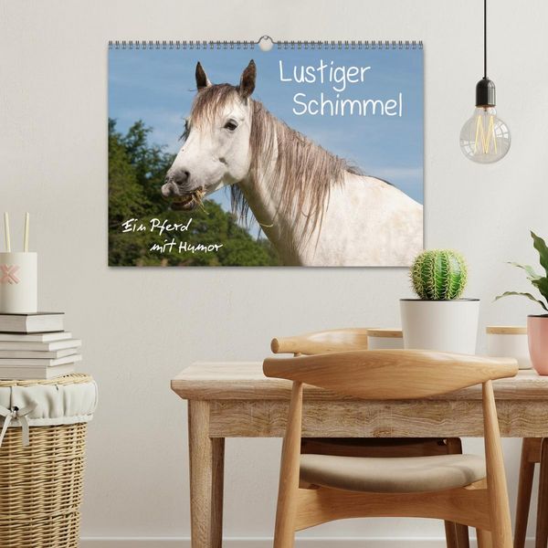 Produktbild: Lustiger Schimmel - ein Pferd mit Humor (Wandkalender 2026 DIN A3 quer), CALVENDO Monatskalender