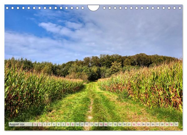Produktbild: Idyllische Wanderwege im Bergischen Land (Wandkalender 2026 DIN A4 quer), CALVENDO Monatskalender