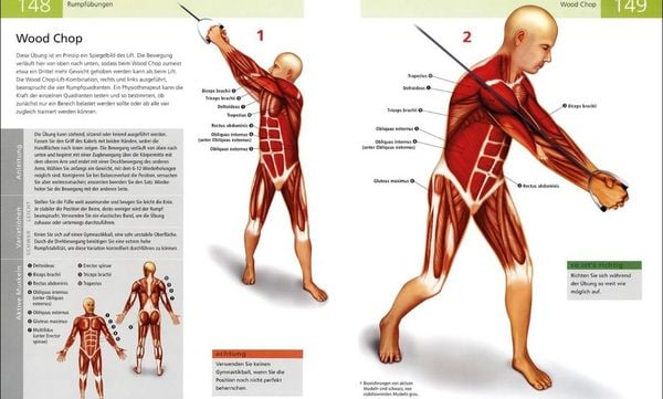 Produktbild: Das Anatomie-Buch der Fitness
