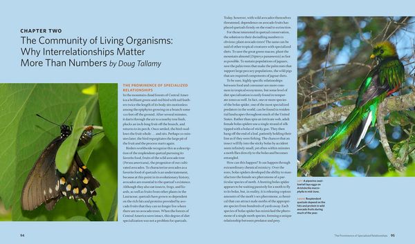 Produktbild: The Living Landscape